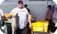 2007, Scott V's catch on the J&H Aitcheson fishing trip