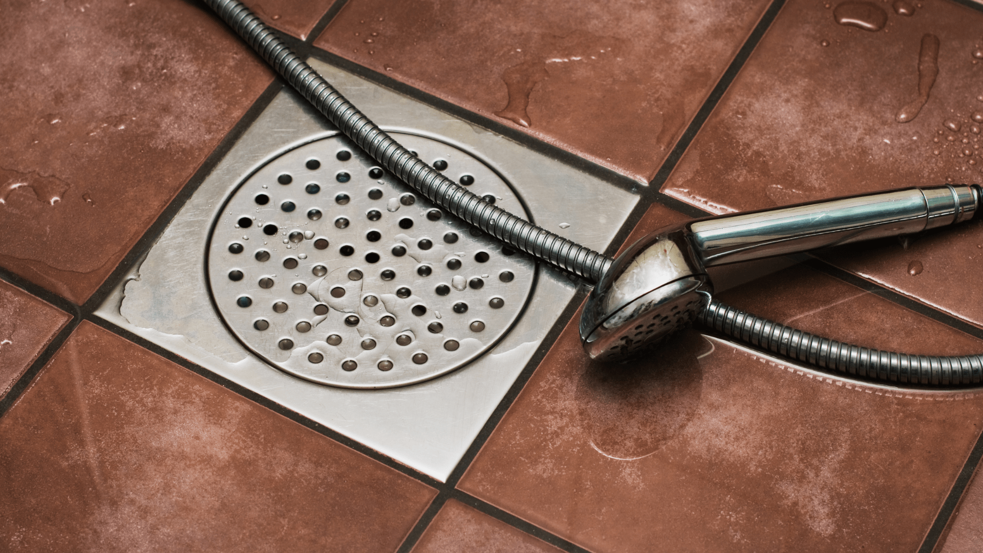 How to Clear a Clogged Shower Drain in Less Than 5 Minutes